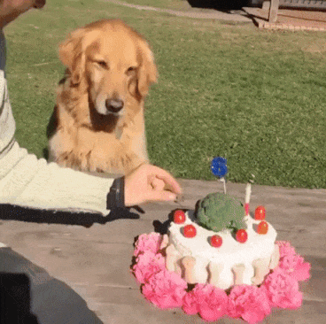 내 케이크에 손 대기만 해봐 | 인스티즈