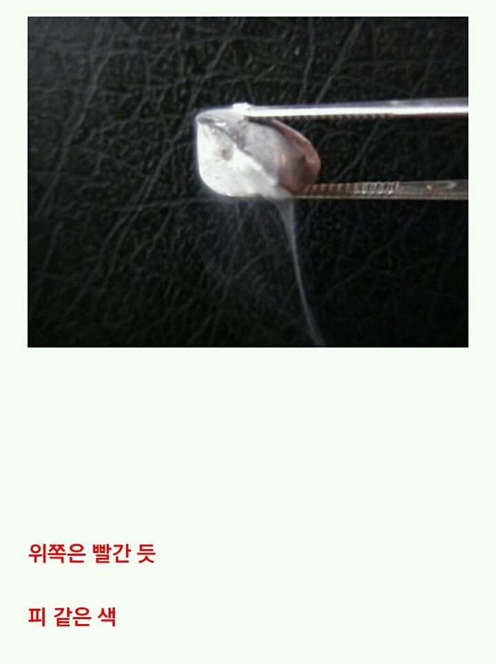 누가 이상한 돌을 줬는데...(3) | 인스티즈