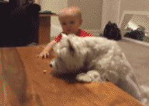 내가 도와줄게.gif | 인스티즈