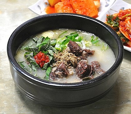 호불호 음식 | 인스티즈