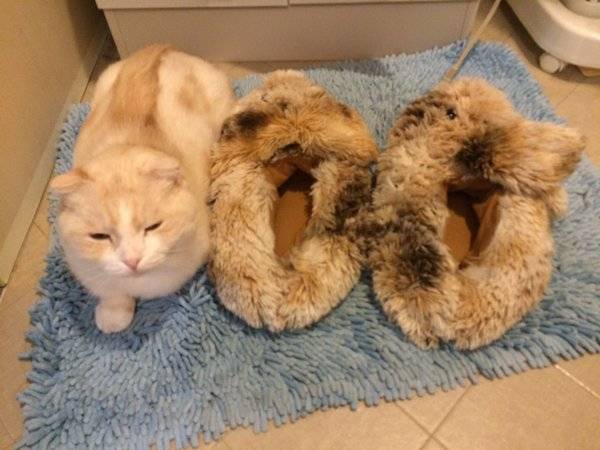 목욕하고 나오니까 목욕 신발이 하나 더 늘어 있다 | 인스티즈