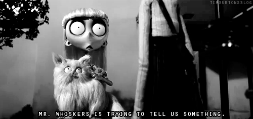 어두운 청록빛이 도는 애니메이션 영화 | 인스티즈