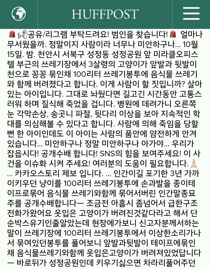 발 묶인 채 쓰레기봉투에 담긴 고양이 사건은 자작극이었다 | 인스티즈