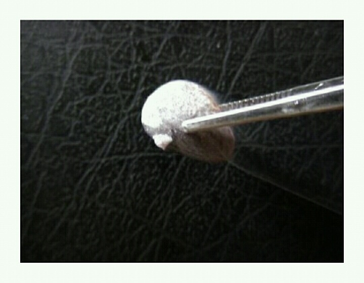 누가 이상한 돌을 줬는데...(3) | 인스티즈