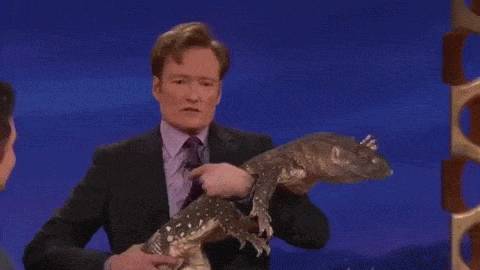 동물덕후들이 해외토크쇼를 부러워하는 이유 | 인스티즈