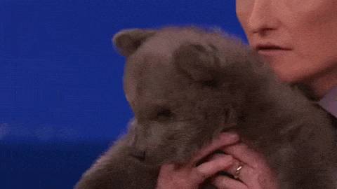 동물덕후들이 해외토크쇼를 부러워하는 이유 | 인스티즈