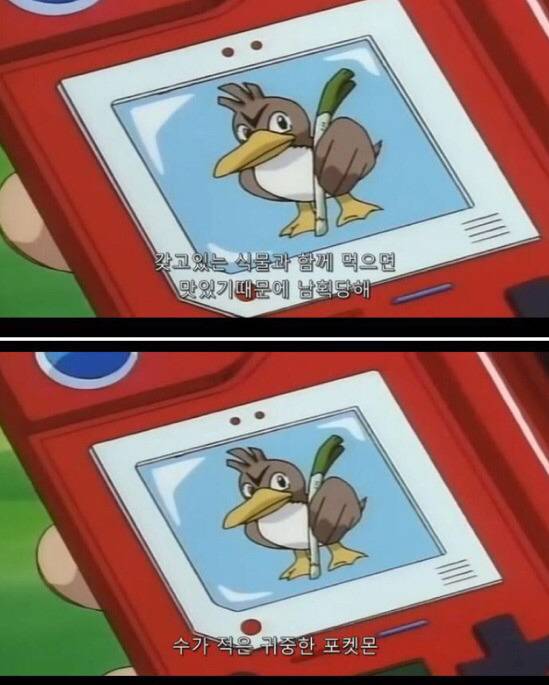 소설판에 나온 포켓몬스터 tmi 모음 | 인스티즈