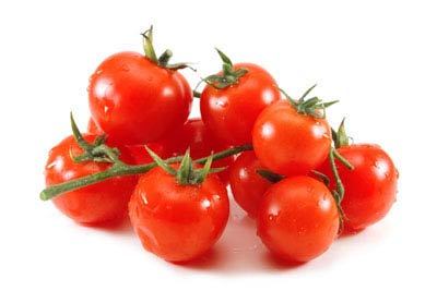 달려와 안기는 사자.gif | 인스티즈