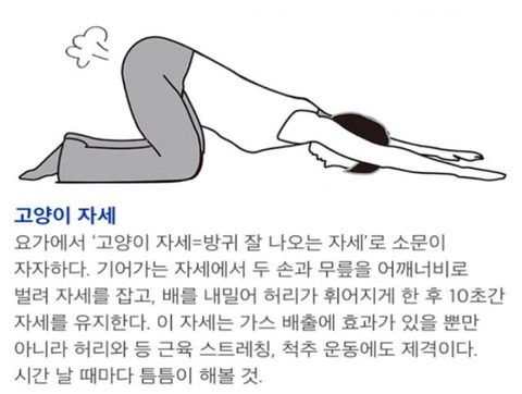 가스 찼을때 방귀 한방에 배출하는 자세 | 인스티즈