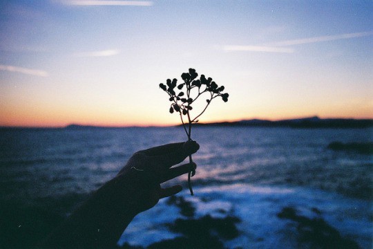  나의 가치를 알아봐 주는 사람 곁에 있어야 한다 | 인스티즈