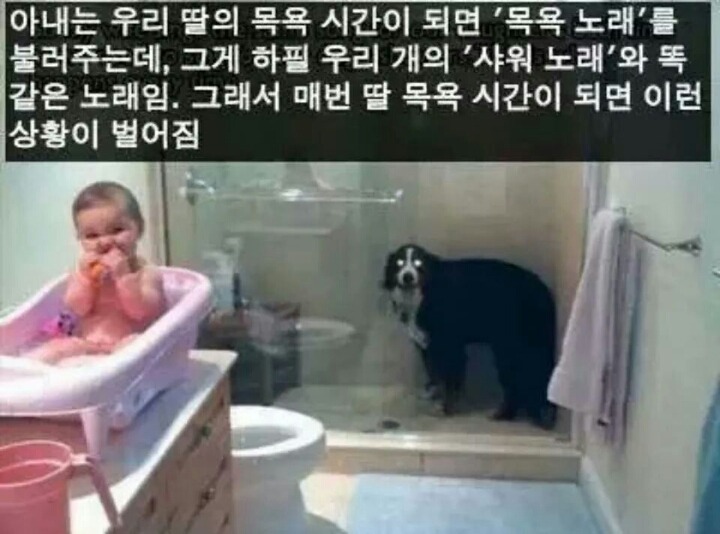 강아지들을 키우고 싶은 이유 | 인스티즈