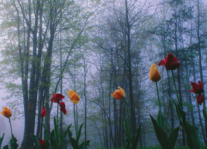 턤뱰럐 갬썡 섀쟨 뱨댈왜썌얘 | 인스티즈