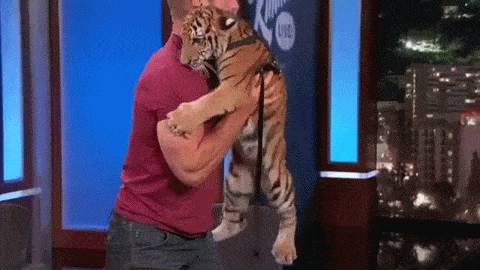 동물덕후들이 해외토크쇼를 부러워하는 이유 | 인스티즈