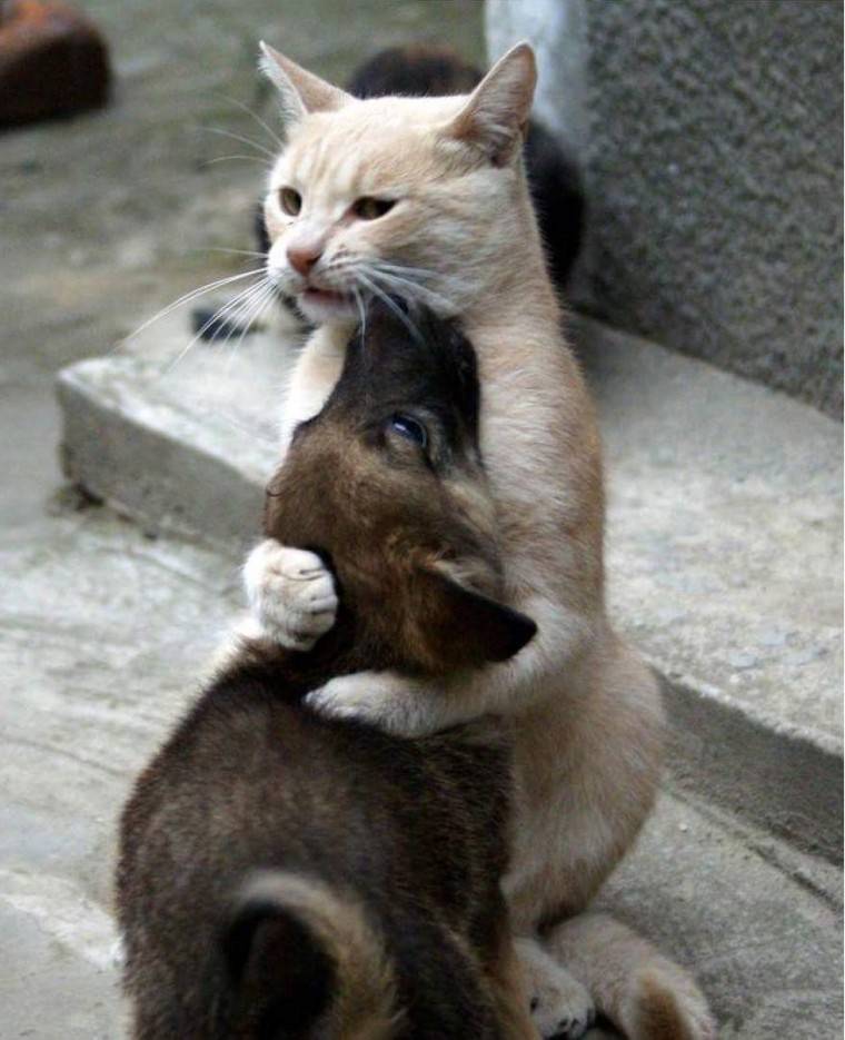 왠지 캐미터지는 사진 | 인스티즈