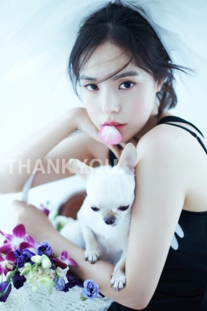 민효린햏이 키우는 반려동물이 왜 자주 바뀌는지 피드백해줬음하오 | 인스티즈