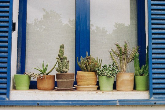  나의 가치를 알아봐 주는 사람 곁에 있어야 한다 | 인스티즈