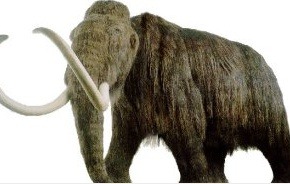 시간으로 보는 신기한 역사 이야기! 꿀잼 | 인스티즈