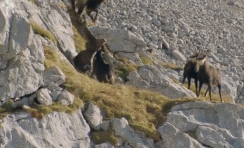 독수리의 힘 | 인스티즈