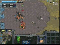 30대 프로게이머의 꿈을 이뤘던 임요환 | 인스티즈