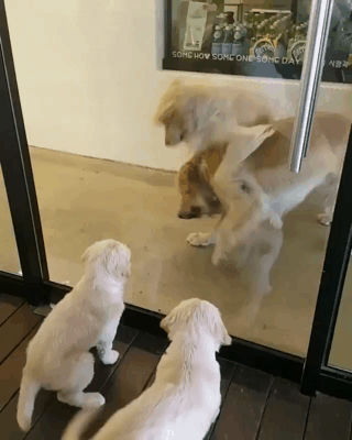 자식는 부모의거울이라... | 인스티즈