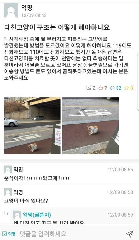 안녕하세요 카페에서 감사한 분들께 교통사고 당한 고양이 치료비 후원받고있는 본인입니다 | 인스티즈