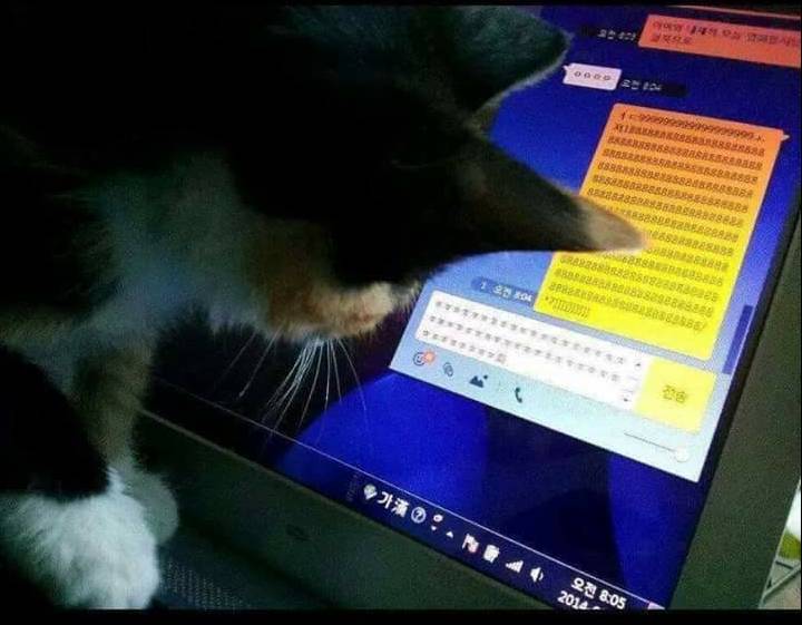 어느날 친구에게서 온 이상한 ㅋㅏ톡.jpg | 인스티즈