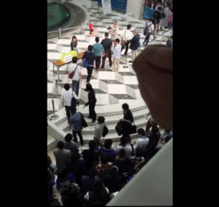 열도의 흔한 팬서비스.gif | 인스티즈