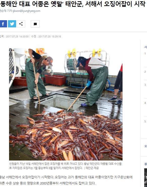 휴가때 서해로 가시는 분들 조심.jpg | 인스티즈