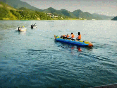 나홀로 생존 본능 트와이스 정연.gif | 인스티즈