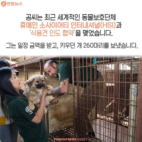 복날의 개를 좋아하세요? | 인스티즈