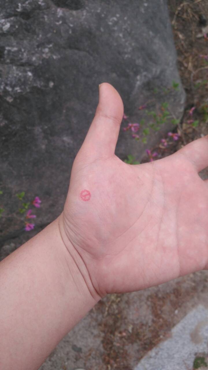 사전투표 하고왔습니다 | 인스티즈