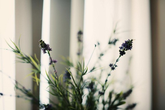  사랑한다 말하지 마라 | 인스티즈