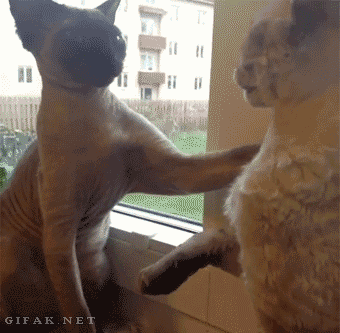 야 니가 그냥 참아 | 인스티즈