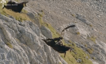 독수리의 힘 | 인스티즈