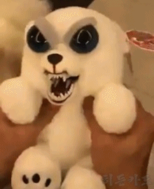 개님들 | 인스티즈