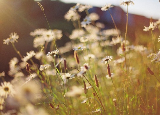  나의 가치를 알아봐 주는 사람 곁에 있어야 한다 | 인스티즈