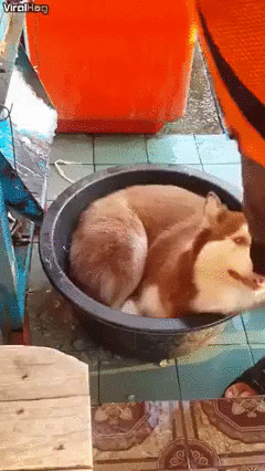 넘나 좋은 것.gif | 인스티즈