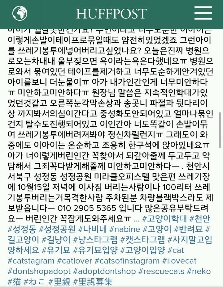 발 묶인 채 쓰레기봉투에 담긴 고양이 사건은 자작극이었다 | 인스티즈