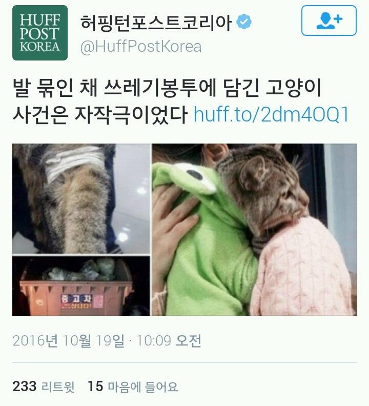 발 묶인 채 쓰레기봉투에 담긴 고양이 사건은 자작극이었다 | 인스티즈