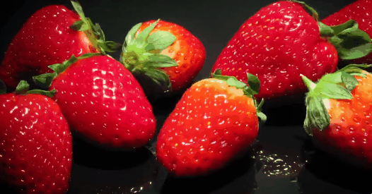 음식물이 상하는 과정.GIF | 인스티즈