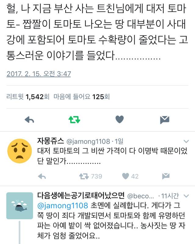 짭짤이 토마토가 사라진 원인(feat. 사대강) | 인스티즈