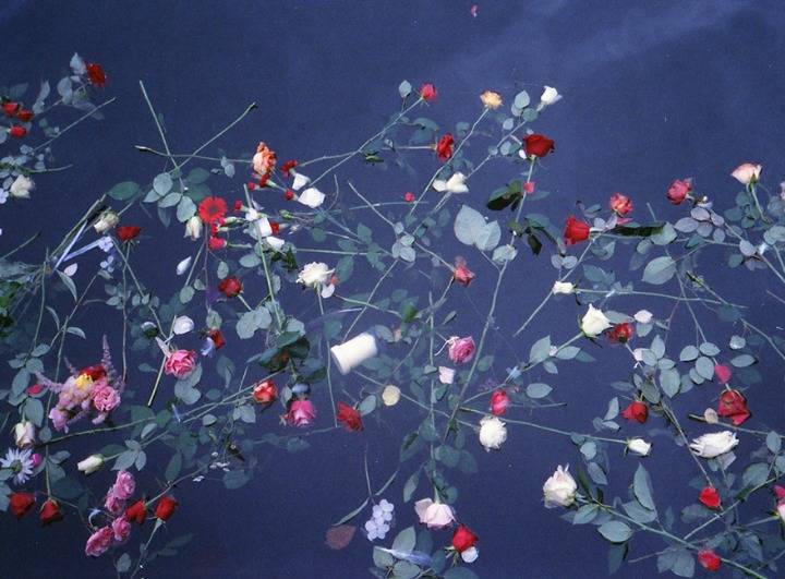 턤뱰럐 갬썡 섀쟨 뱨댈왜썌얘 | 인스티즈