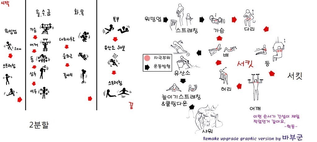 헬스 초보자 꿀팁 | 인스티즈