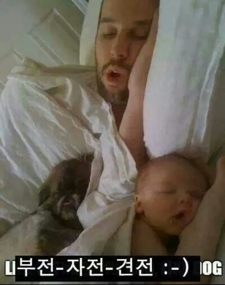 강아지들을 키우고 싶은 이유 | 인스티즈