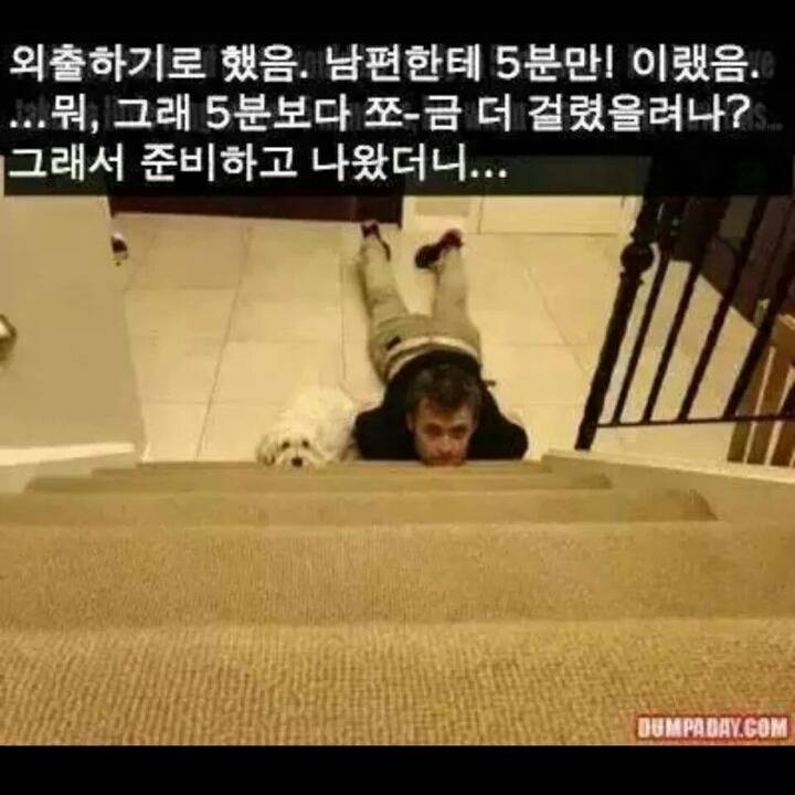 강아지들을 키우고 싶은 이유 | 인스티즈