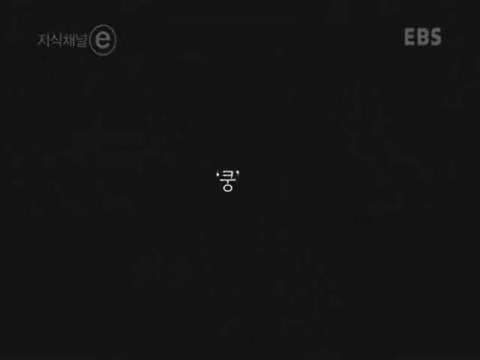 제 정신으로 정신병원 들어가기 | 인스티즈