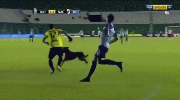 개현란한 드리블.gif | 인스티즈