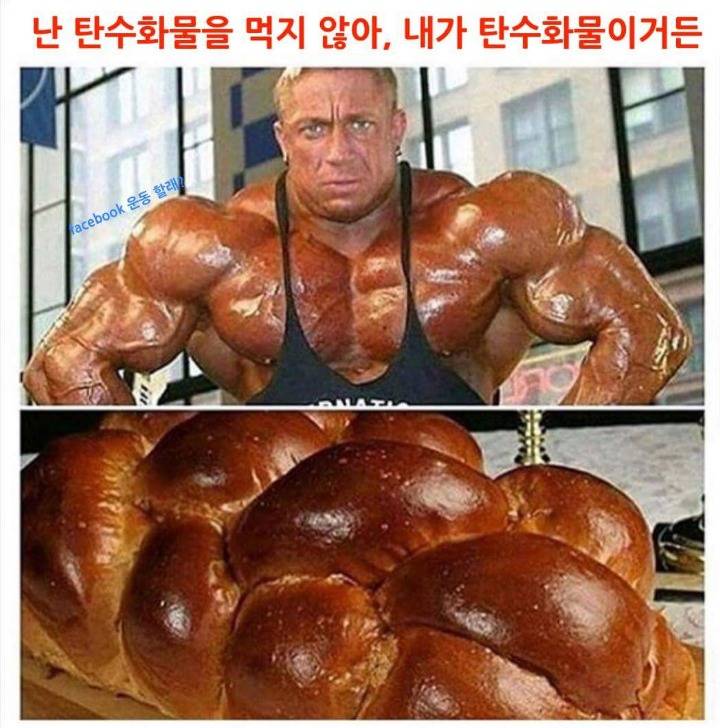 보디빌더가 탄수화물을 안 먹는 이유 | 인스티즈
