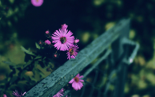  너 없는 세상 | 인스티즈