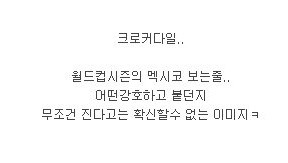 쎈건지 약한건지 도무지 알수없는 원피스 케릭터 | 인스티즈